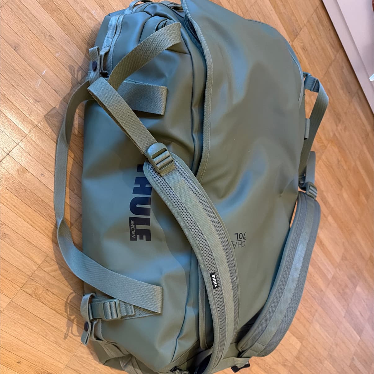 Thule Sporttasche CHASM 70L in Olivgrün
